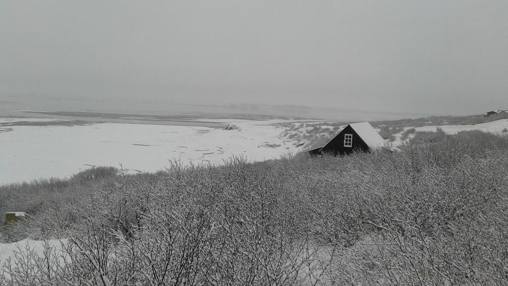 Black Timber House Borgarnes Exteriör bild